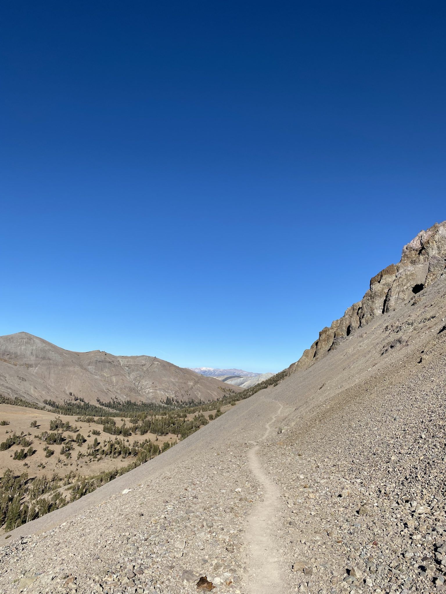 A narrow path through a stone field