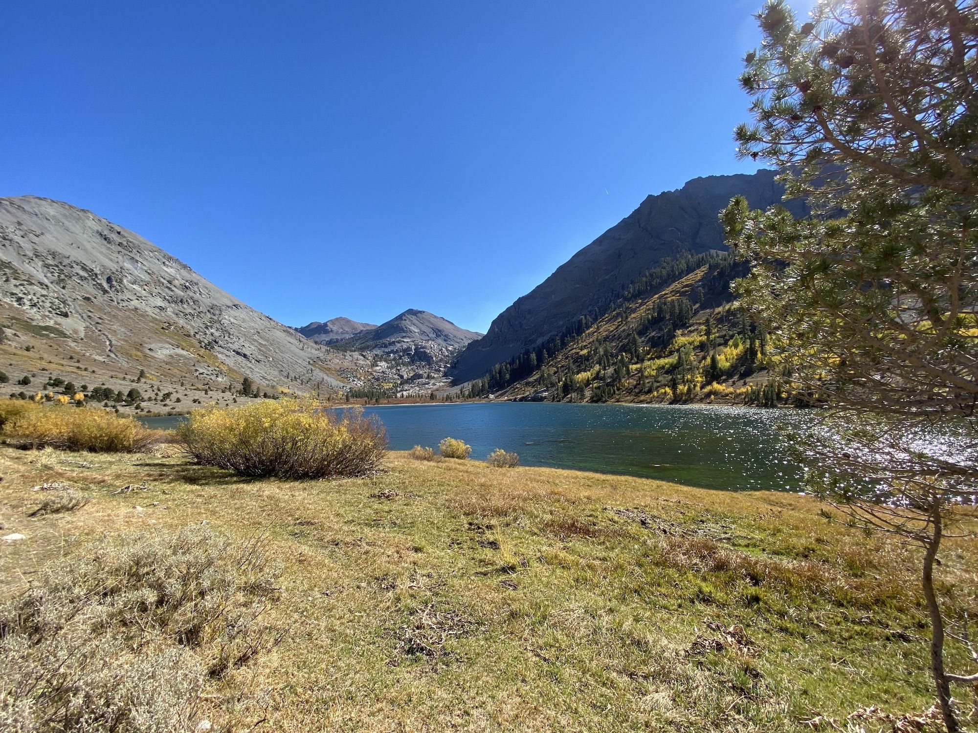 Kennedy Lake nestled between mountains