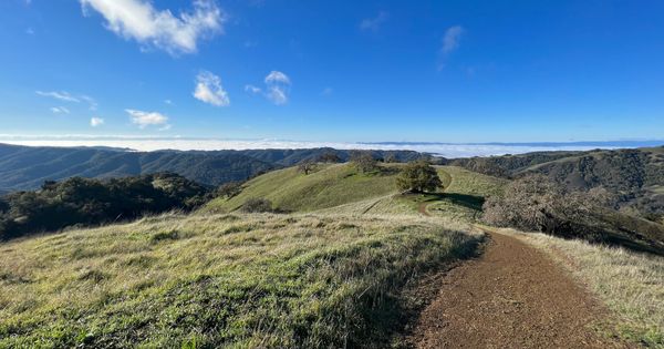 A dirt road along rolling green hills, with white clouds below in the valley.