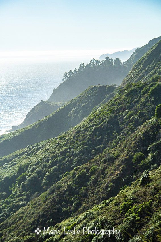 Green Mountains and the Sea