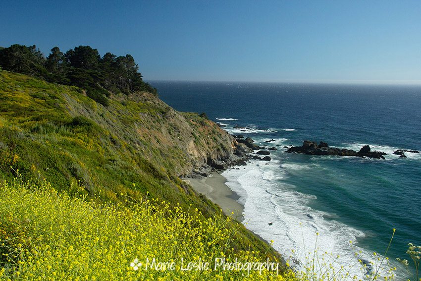 Surf and Yellow