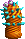 Orange with cyan border