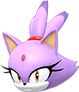 Head of Blaze the Cat.