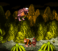 DKC-ReallyGnawtyRampage.png