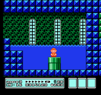 Fire Mario entering a Warp Pipe.