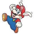 Bunny Mario from the game cover