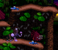 Donkey Kong Country