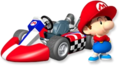 Mario Kart Wii