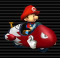 Mario Kart Wii