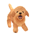 Nintendog