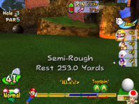 Semi-rough from Mario Golf: Toadstool Tour