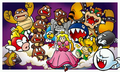 Super Mario 3D Land