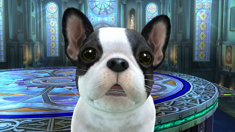 File:SSB4 WiiU Nintendog.jpg