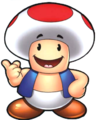 Toad