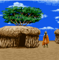 The Maasai village in the SNES version of Mario is Missing!