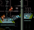 Donkey Kong Country