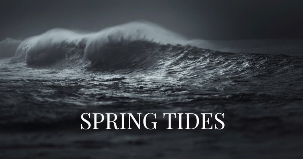 Spring Tides A Dance of Gravitational Forces