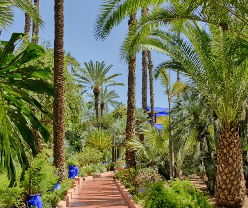 YSL Majorelle Garden