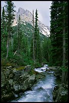 terragalleria cascade creek and tetons: 