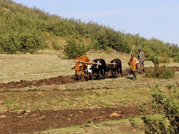 Lesotho needs to dig deeper to get its people out of abject poverty and hunger