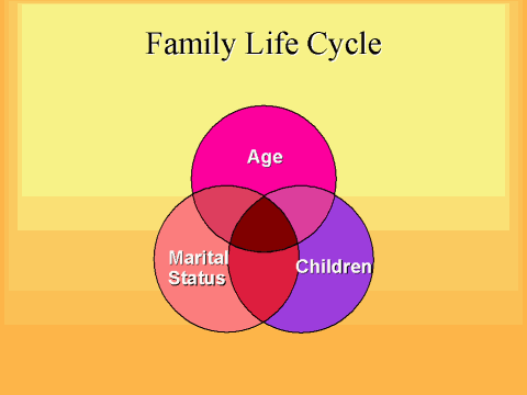 Family Life Cycle