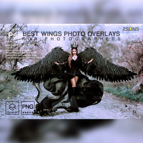 Realistic White Black Gold Angel Wings Photoshop Overlays Cover image.