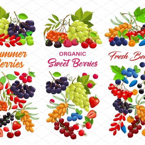 Berries, sweet juicy garden crop cover image.