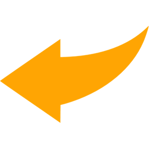 orange arrow