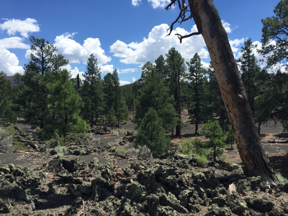 wupatki-sunset-crater-12