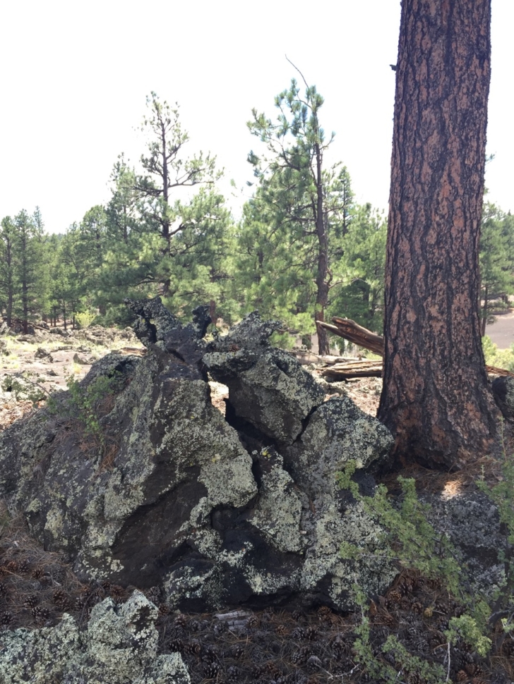 wupatki-sunset-crater-14