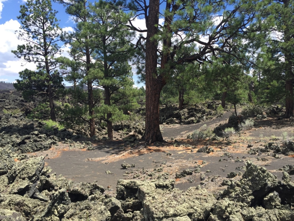 wupatki-sunset-crater-17