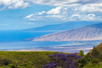 Maui Travel Tips Upcountry Views