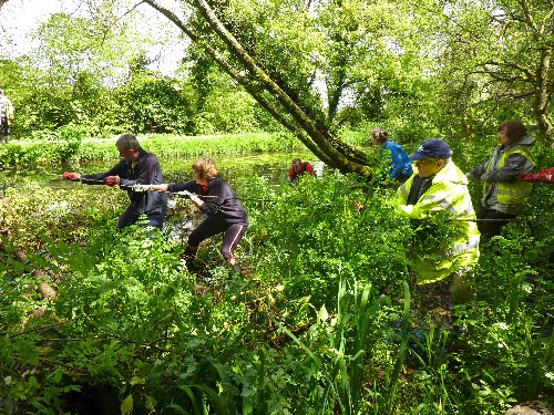 Torfaen Canal Volunteers pulling rubbish from the canal