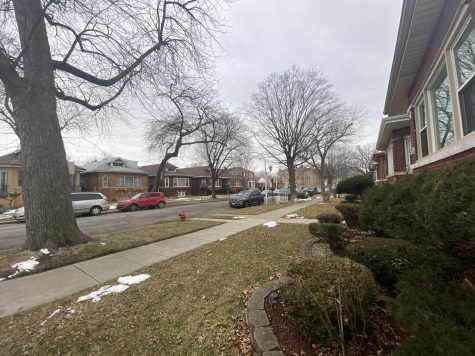 View from a house on 86th street that shows just how average this average neighborhood is.