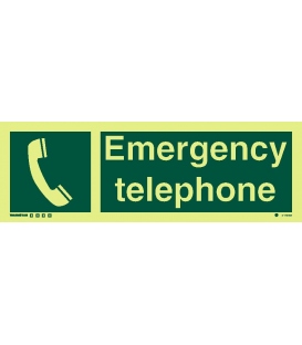 4178 Emergency telephone