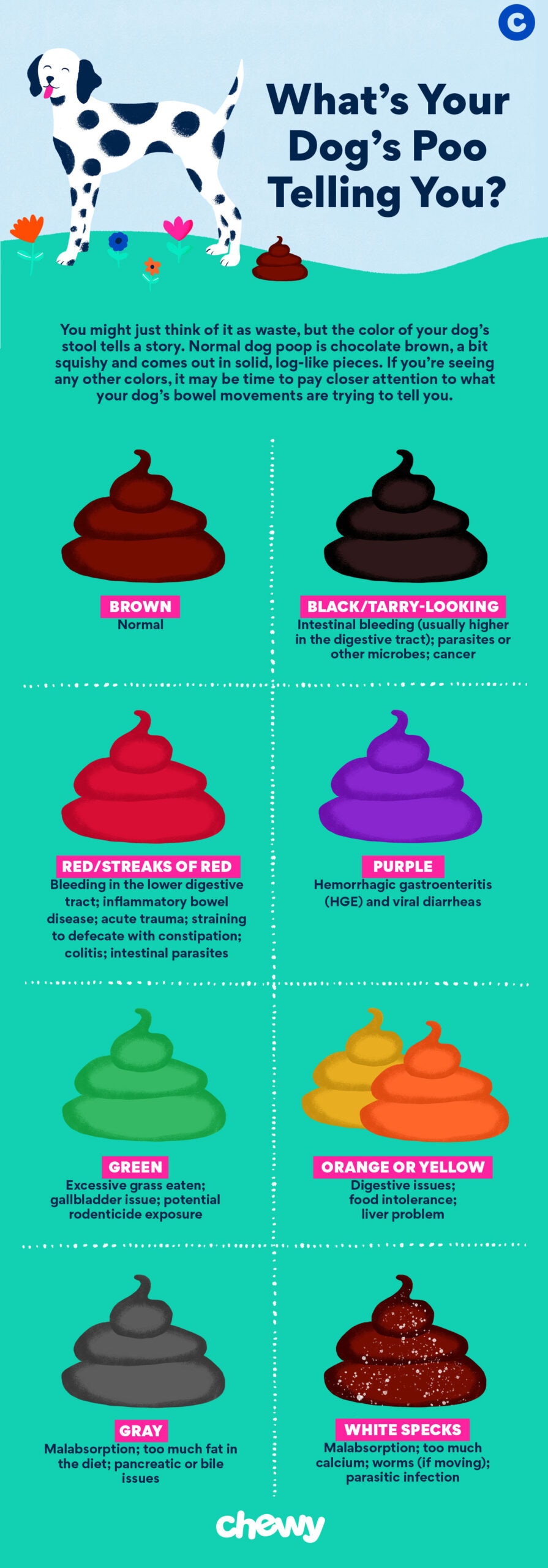 Dog Poop Color Chart: Is Your Dog's Poop Healthy? | BeChewy