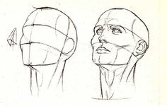 Figure Drawing / Head & Shoulders on Pinterest | Character Design Ref…