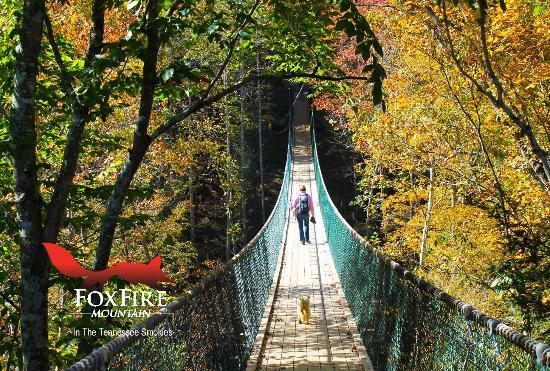 Sevierville tennessee with kids : Foxfire Mountain Swinging Bridge