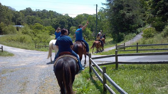 Sevierville tennessee with kids : Deer Farm