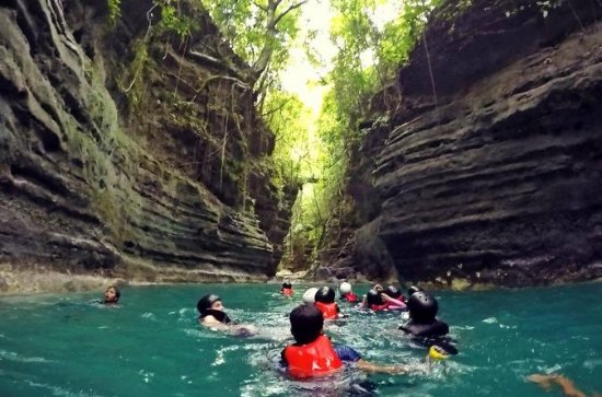 15 Best Things to Do in Moalboal - 2018 (with Photos) - TripAdvisor