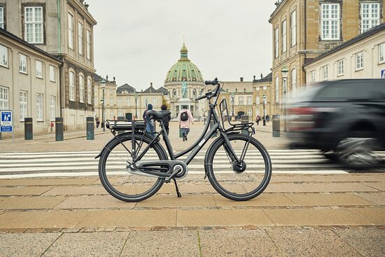 A no brainer bicycle bonanza! - Copenhagen E-Bike Tours & Rentals ...