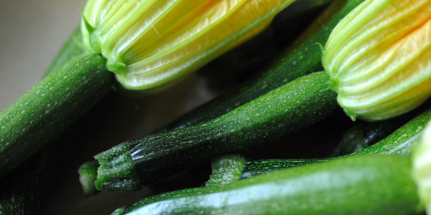 Courgette