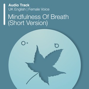 Mindfulness Of Breath (Short Version) (Audio)