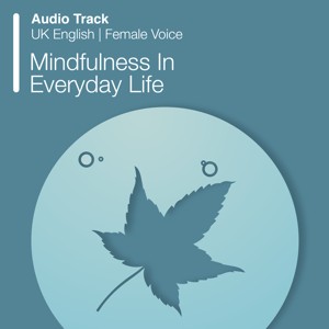 Mindfulness In Everyday Life (Audio)