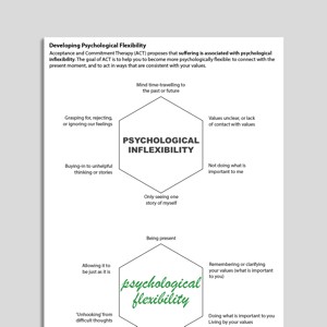 Developing Psychological Flexibility