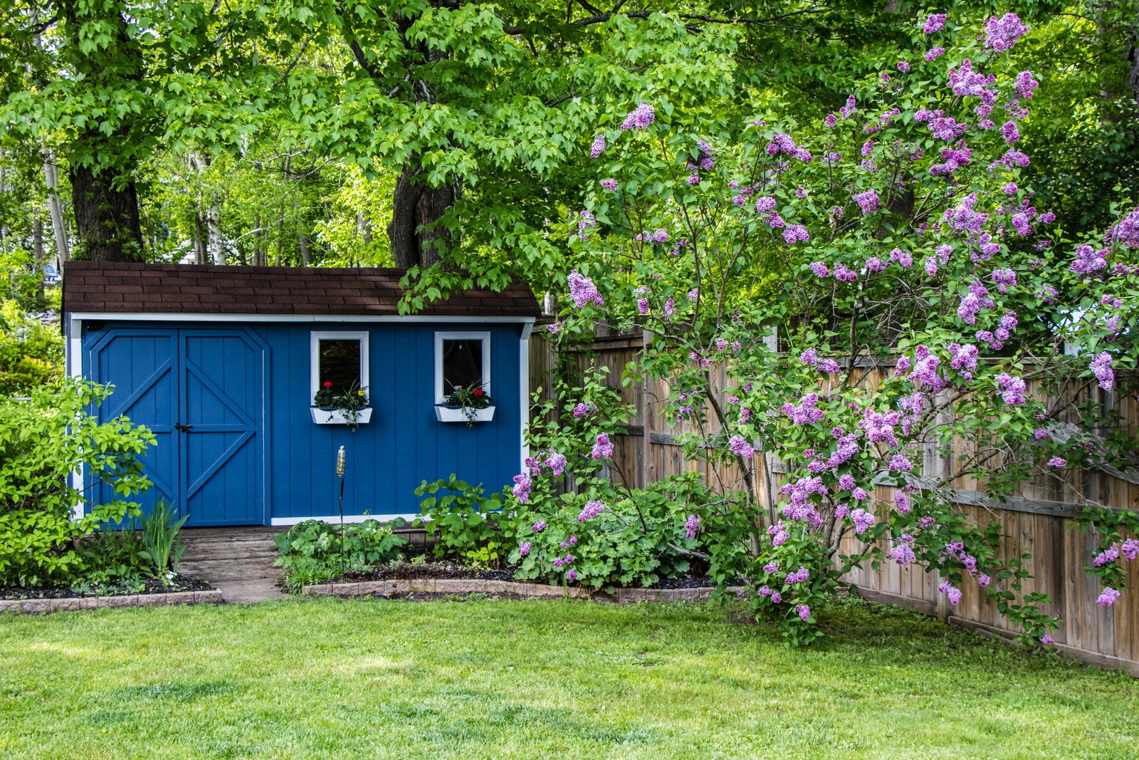 WFH space or not a refurbished backyard shed is a welcome escape.