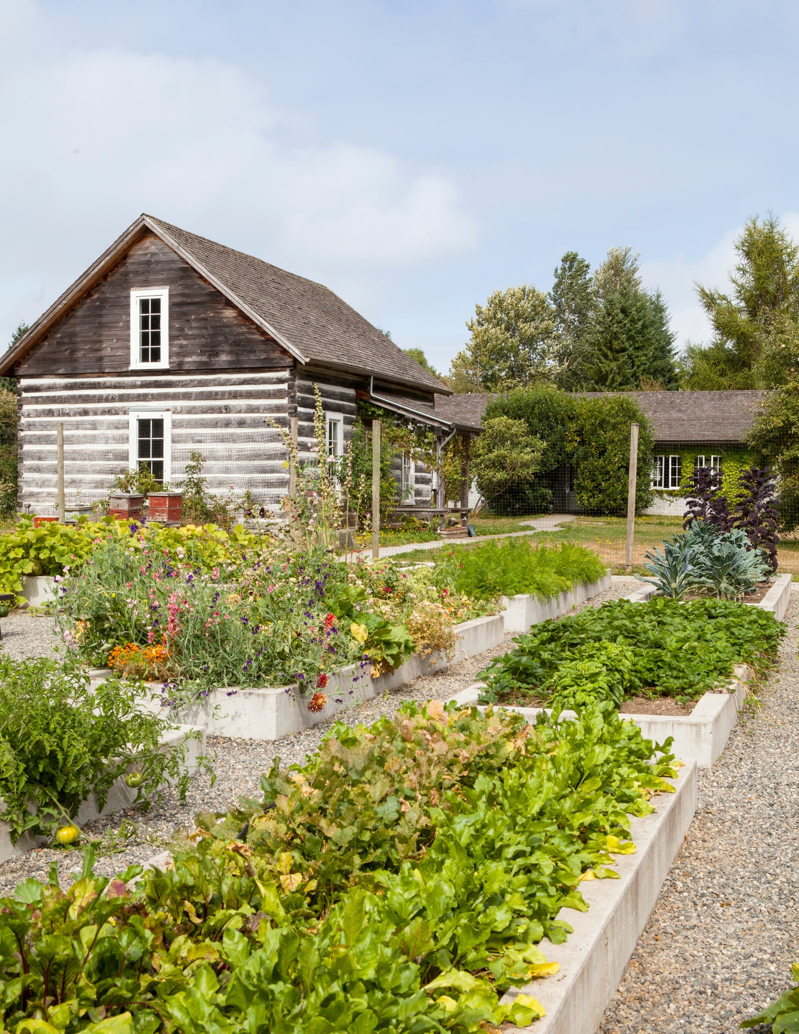 Vegetable and flower boxes bring in welcome crops.