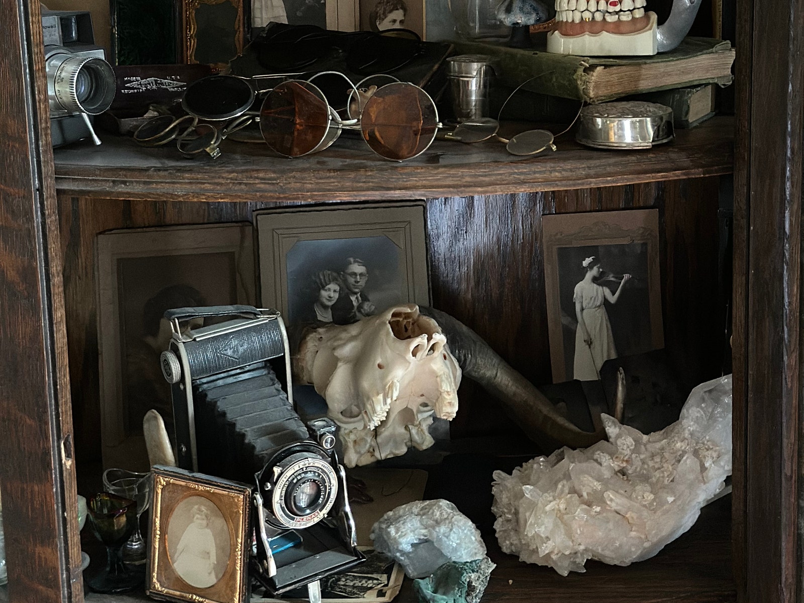 Is the Cabinet of Curiosities Making a Comeback?