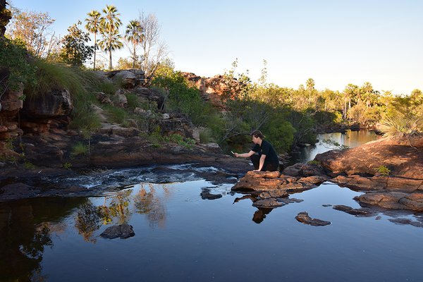 Dr Jodi Rowley recording with FrogID app