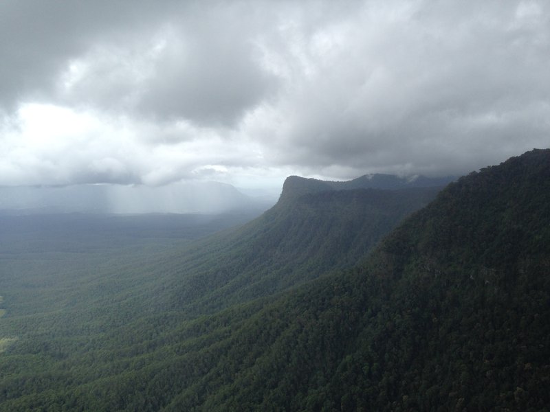 Image of rainforests in Northeast NSW. Photographer: Chris Reid